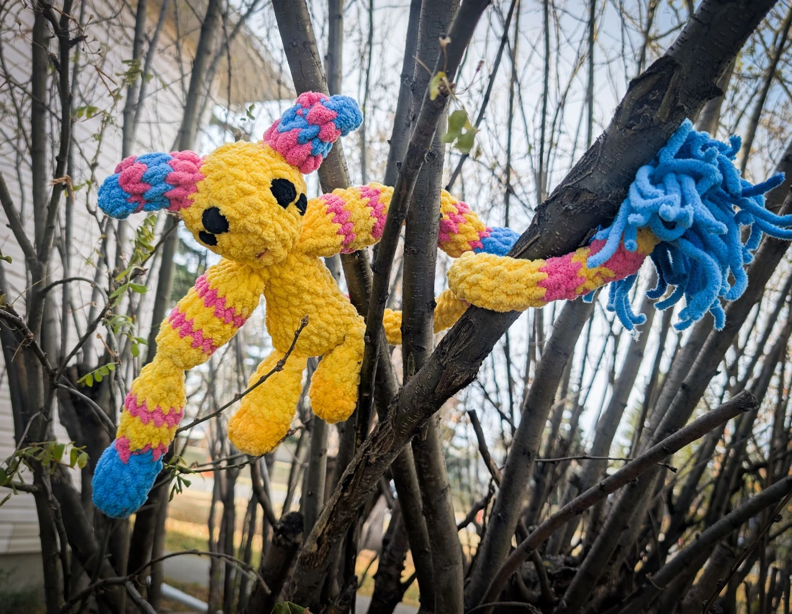 Tilly the Ooklian Trabber